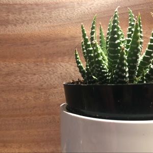 Meet your Posher, Hailey